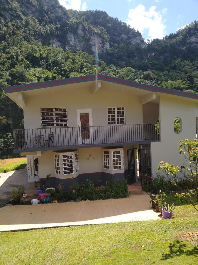 Casa De Campo Rio Arriba Arecibo Buitenkant foto